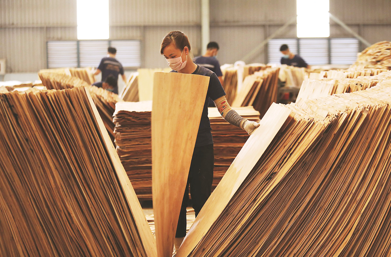 Chuyển dịch nhập khẩu gỗ sang các nguồn cung hợp pháp